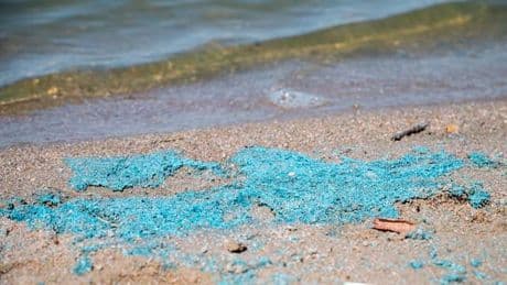Gewässer: Achtung beim Baden in Franken: Blaualge in Seen festgestellt