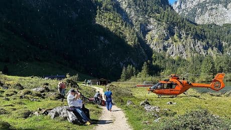 Rettungseinsatz am Königssee - Wanderer (80) bei Kuh-Attacke schwer verletzt