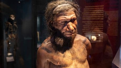 Uralt-Gene unter Verdacht - Verdanken wir Kopfschmerzen den Neandertalern?