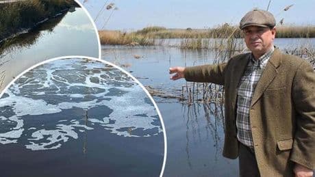 'Gediz Nehri'nde tedirgin eden görüntü! 'Dokunmaya korkar hale geldik'