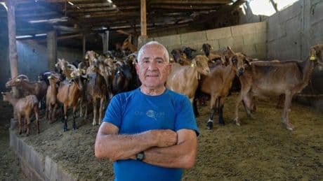 El pueblo de nueve habitantes que no ardió por los rumiantes