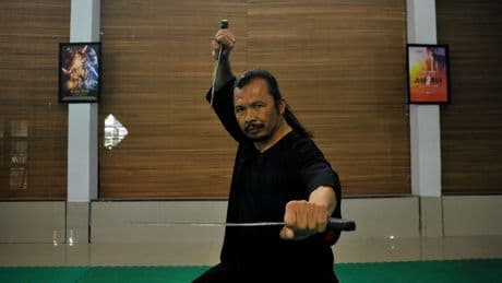 Van grafbed tot Hollywood: de Indonesische krijgskunst pencak silat is overal