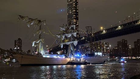 Mexican navy training vessel hits New York's Brooklyn Bridge