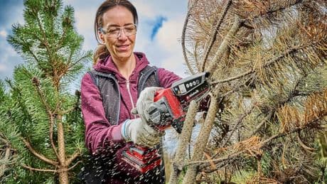 Einhell Akku-Kettensäge im Angebot: Gartenhelfer jetzt zum Tiefstpreis