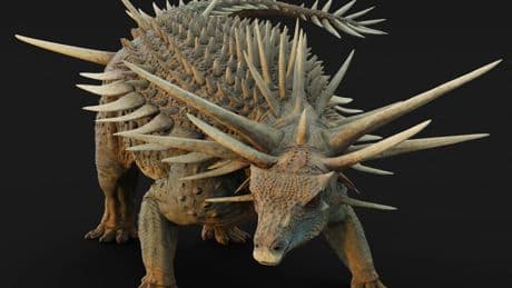 New fossil reveals secrets of ‘bizarre’ armoured dinosaur covered in spikes