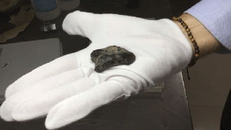 A 140,000-year-old mysterious human ancestor bone found in LOST land where no one can visit