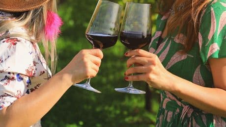 French wine output down 13% on five-year average as Champagne harvest starts early