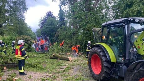 Sturmschäden: Nach Blitzeinschlag - Feuerwehr fällt 100 Jahre alten Baum