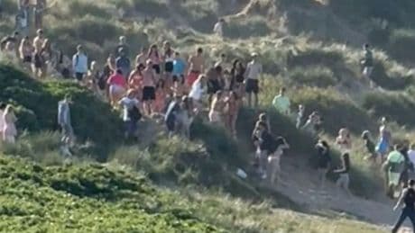 Irvine Beach horror as teenage boy, 16, stabbed to death in sunset party during mass brawl