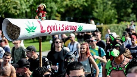 La mayor potencia del cannabis actual eleva las adicciones y el riesgo de psicosis