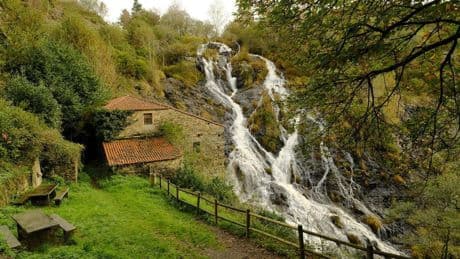 Esta ruta de senderismo en A Coruña es imperdible: se hace entre robles y castaños y llega hasta una cascada