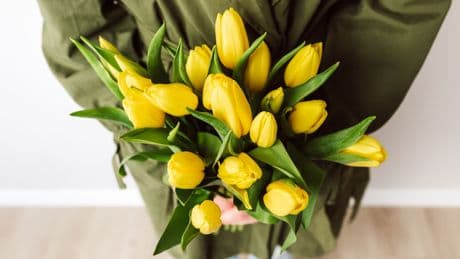Tulpen-Trick: Zwei einfache Hausmittel verlängern die Blütezeit