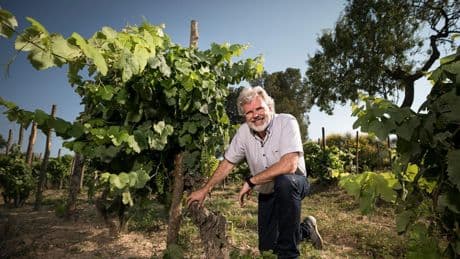 Entrevista a Jaume Gramona, presidente de Gramona