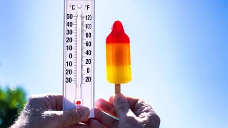 LIVE | Zondag verloopt zonnig en zomers maar het wordt nog veel warmer: komende week tropische temperaturen verwacht