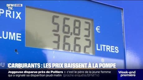 "Je pense que je vais gagner 10 euros": les automobilistes profitent de la baisse du prix des carburants