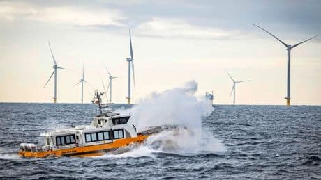 Waarom het kabinet het aantal windturbines op zee dit jaar plots vermindert