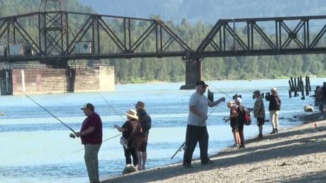 ‘Very exciting’: Rare recreational sockeye fishery opens on portion of Fraser River