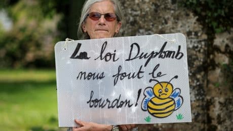 La pétition contre la loi Duplomb fait un tabac et dépasse les 850 000 signatures