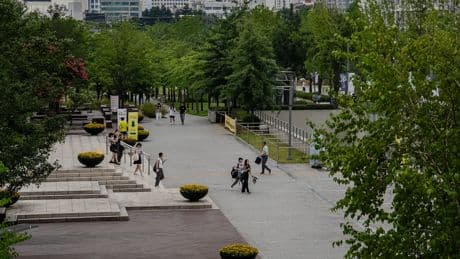 As Trump Pushes International Students Away, Asian Schools Scoop Them Up