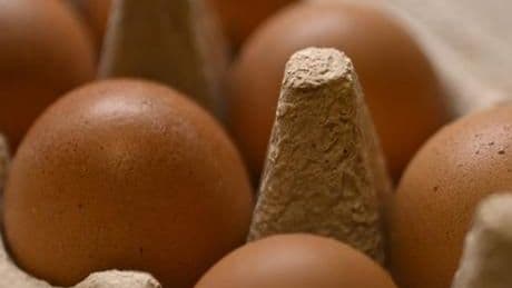 Sofralık yumurta ihracatında uygulanan fon kesintisi kaldırıldı