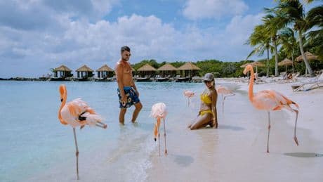 Reise: Die neun besten Urlaubsziele für Tierfreunde