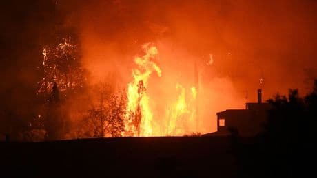 Waldbrände: Griechenland: Mehr als 300 Brandstifter festgenommen