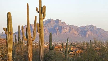 Canadian buyers are fleeing U.S. hotspots, leaving Sunbelt realtors reeling