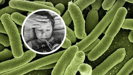 Virus in vacanza, bambini a rischio: dall'acqua in bottiglia alla frutta non sbucciata, ecco cosa evitare. Tutti i consigli dei pediatri