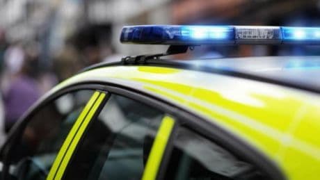 Manhunt launched after woman and dog injured in 'targeted attack'