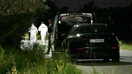 Sandrino Spingardi, chi è il killer che ha fatto irruzione alla festa della nipotina uccidendo la cognata: ferita la mamma della bimba