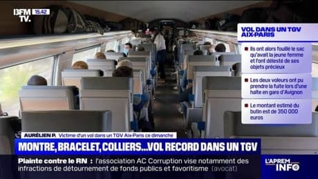 "Ils se sont glissés sous le siège": Aurélien, victime d'un vol record d'un montant de 350.000 euros dans un TGV, témoigne