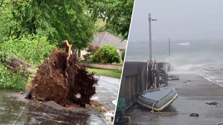 Tienduizenden huizen in Schotland zonder stroom door storm Floris