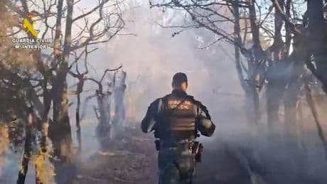 Cuatro detenidos por provocar más de diez incendios en diferentes localidades madrileñas