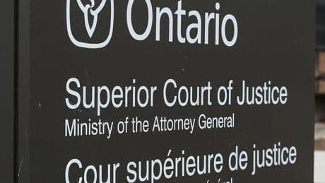 Lengthy prison sought for U.S. motorist's 'reprehensible' targeting of pedestrian in Windsor
