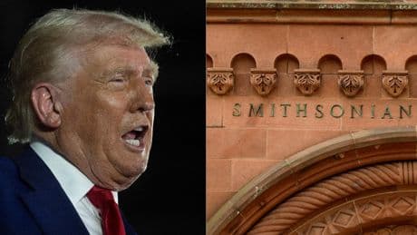 Wokisme : quels sont les musées et les œuvres contre lesquels Donald Trump part en croisade