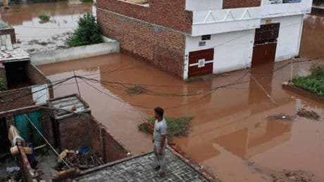 Punjab Floods Devastate Pakistan’s Breadbasket