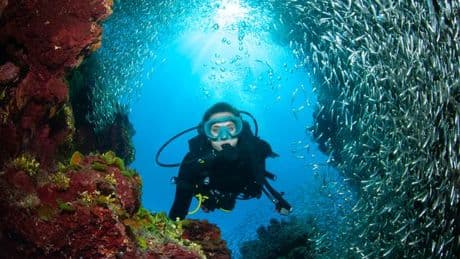 Diver's horrifying death after stabbing himself in heart while lost in underwater labyrinth
