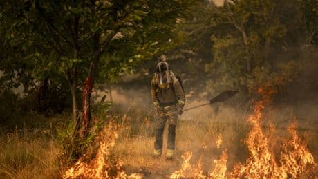 Los fuegos se apagan en invierno