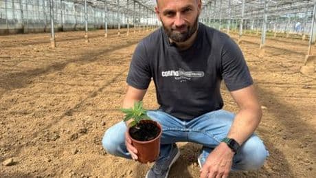 Cannabis Social Clubs: Lizenzprobleme und bürokratische Hürden nach einem Jahr