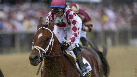 Journalism, Sovereignty open as Belmont Stakes favorites