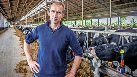 Boeren de dupe van plannen om Zuid-Holland uit stikstofmoeras te helpen: ’Wij krijgen bak ellende over ons heen gegooid’