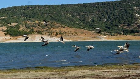 Burası Romanya değil, Türkiye! Manzarası hayran bıraktı: Yüzlercesi akın etti