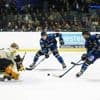 Hockey sur glace. Nouvel entraîneur, formation... Les Corsaires veulent arriver à bon port