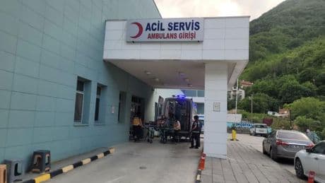 Akrebin soktuğu yaşlı kadın hastaneye kaldırıldı
