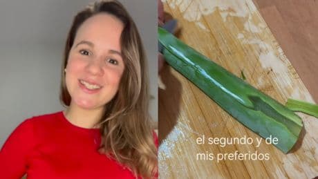 Gabriela Pocoví, nutricionista: “Tomar protectores gástricos a diario puede dañar tu flora intestinal; el aloe y el kudzu protegen tu estómago sin efectos secundarios”