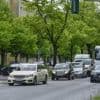 Berliner Senat und Bezirk im Clinch: Diese 196 Bäume am Tempelhofer Damm sollen gefällt werden