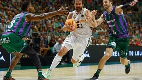 Sergio Llull renueva por una temporada más