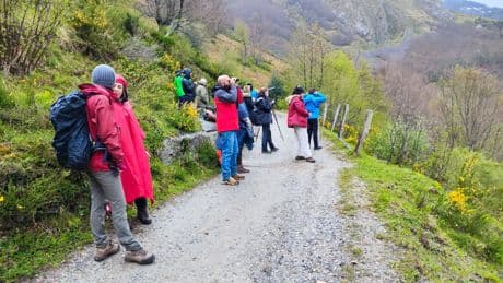 El norte de España lleva años quejándose del turismo masivo. Asturias ha descubierto las amargas consecuencias de perderlo