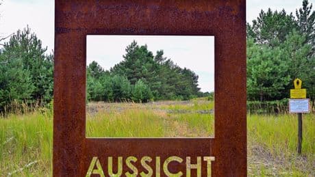Schutzgebiete in Brandenburg: Statt Bagger und Panzer: 25 Jahre Einsatz für die Natur