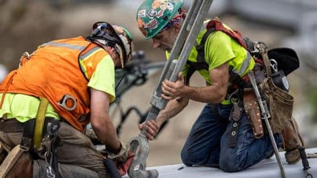 How Happy Are Workers? Polls On Workplace Satisfaction